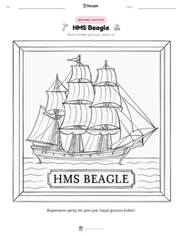 HMS Beagle yazdırılabilir çalışma sayfası önizlemesi
