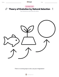 Theory of Evolution by Natural Selection printable worksheet preview