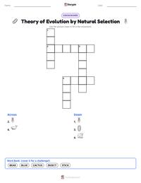 Theory of Evolution by Natural Selection printable worksheet preview