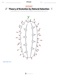 Theory of Evolution by Natural Selection printable worksheet preview