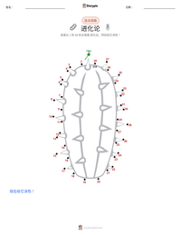 进化论 可打印工作表预览