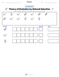 Theory of Evolution by Natural Selection printable worksheet preview
