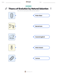 Theory of Evolution by Natural Selection printable worksheet for kids