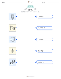 進化 の印刷可能ワークシートプレビュー