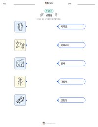 진화 인쇄 가능한 워크시트 미리보기