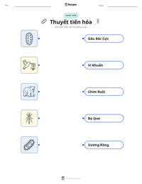 Tài liệu in sẵn Tiến hóa cho trẻ em