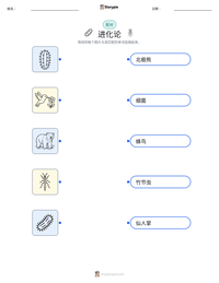 进化论 可打印工作表预览