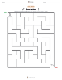 Evolution druckbare Arbeitsblatt Vorschau