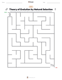 Theory of Evolution by Natural Selection printable worksheet preview