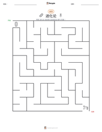 进化论 可打印工作表预览