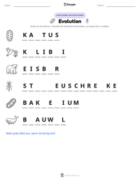 Evolution druckbare Arbeitsblatt Vorschau