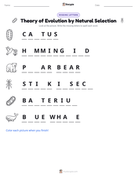 Theory of Evolution by Natural Selection printable worksheet preview