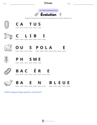 Aperçu de la feuille de travail imprimable Évolution