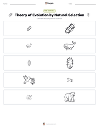 Theory of Evolution by Natural Selection printable worksheet preview