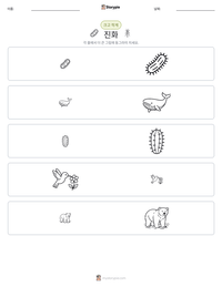 진화 인쇄 가능한 워크시트 미리보기