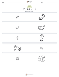 进化论 可打印工作表预览
