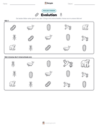 Evolution druckbare Arbeitsblatt Vorschau