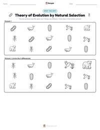 Theory of Evolution by Natural Selection printable worksheet preview