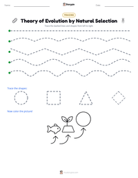 Theory of Evolution by Natural Selection printable worksheet preview