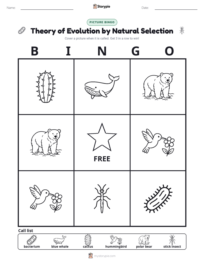 Picture Bingo