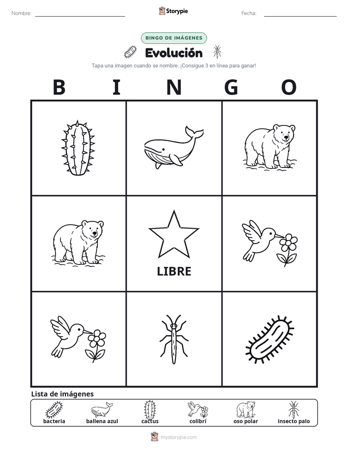 Bingo de Imágenes