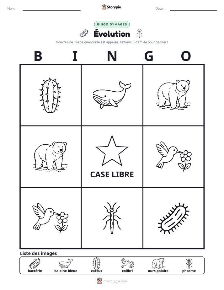 Bingo d'Images