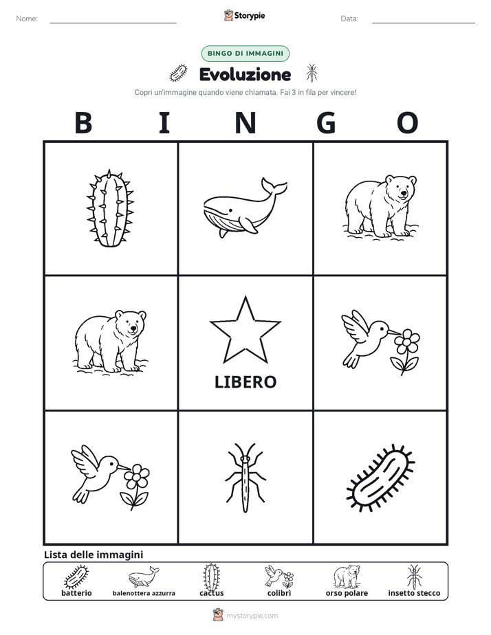 Bingo delle Immagini