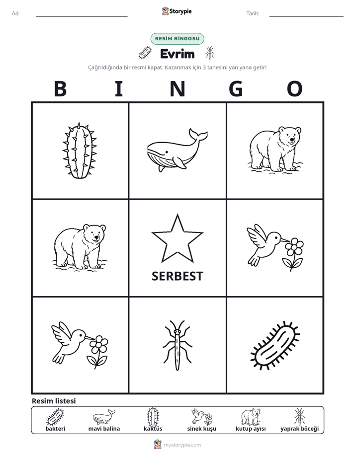 Resim Bingo