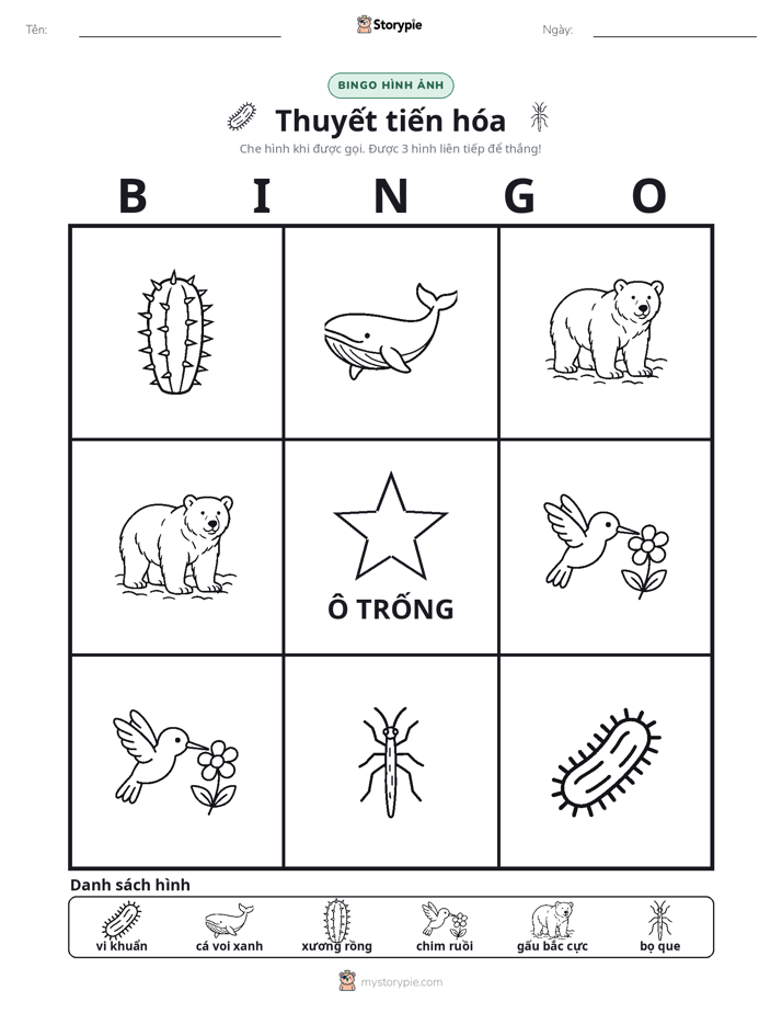 Bingo Hình Ảnh