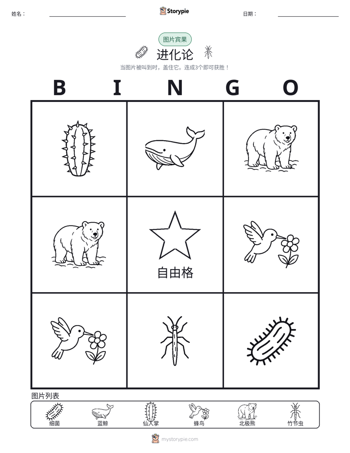 图片宾果