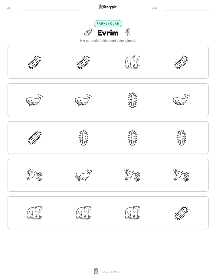 Farklı Olanı Bul