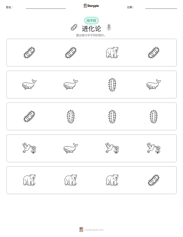找不同