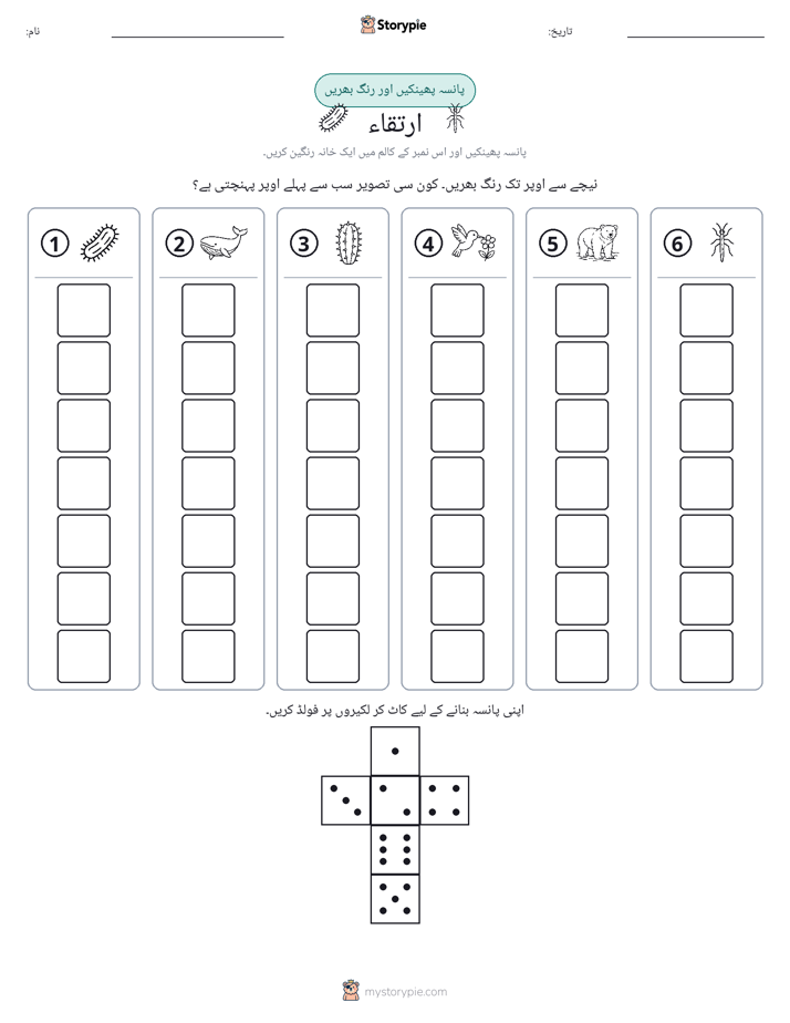 رول اور رنگ