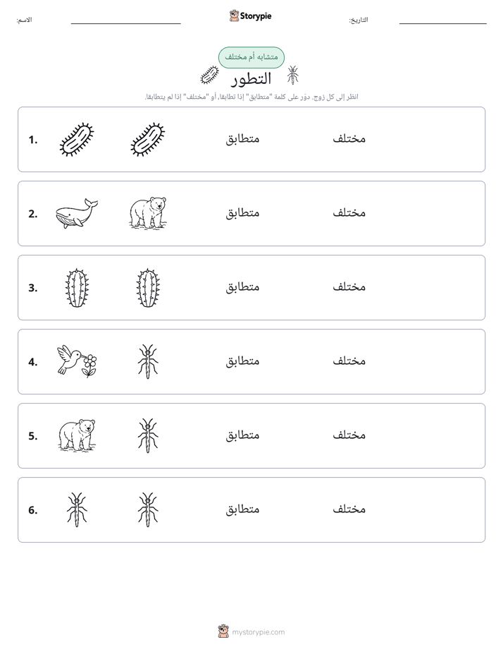 نفس أو مختلف