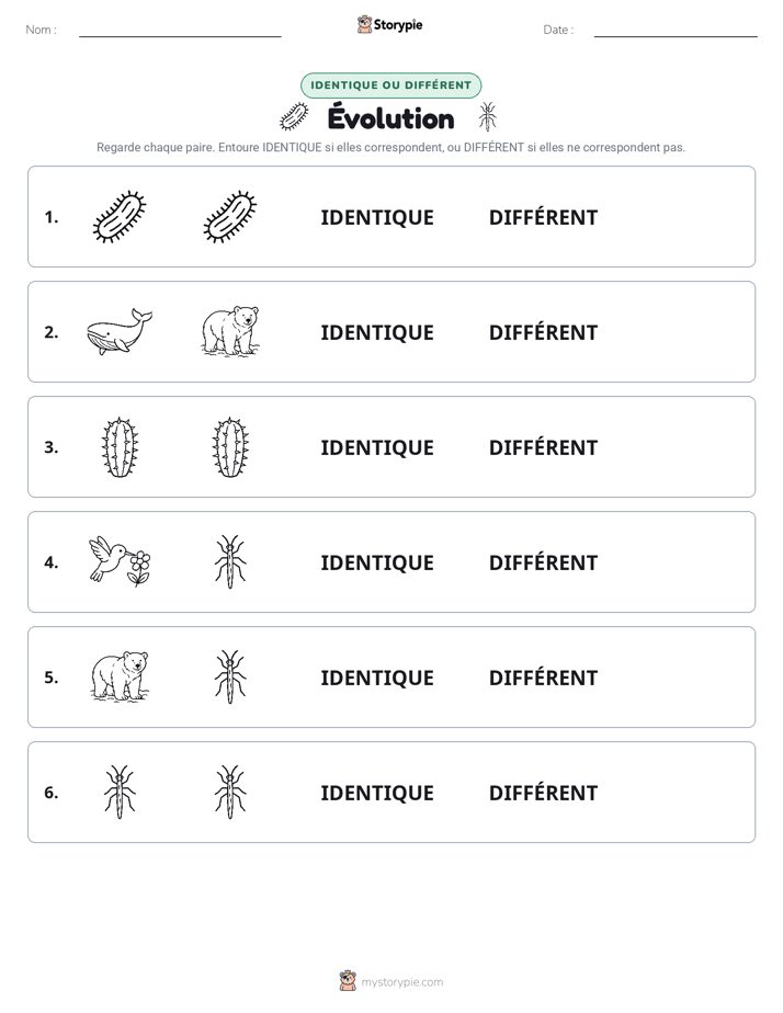 Identique ou Différent