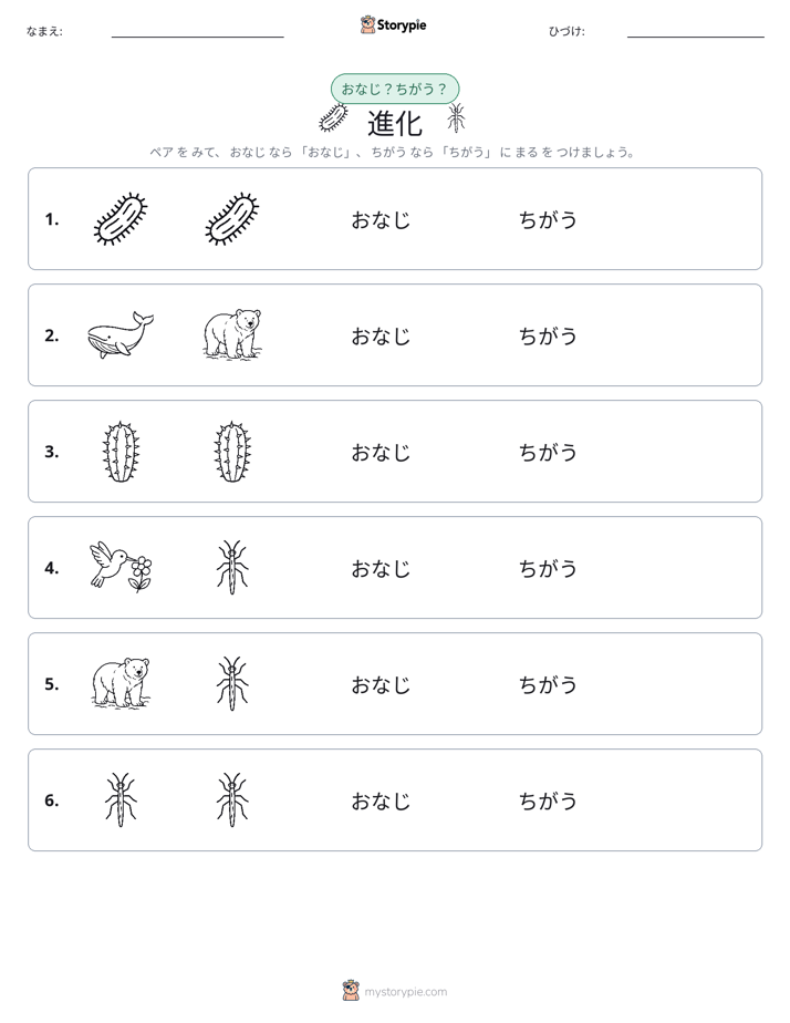 同じか違うか