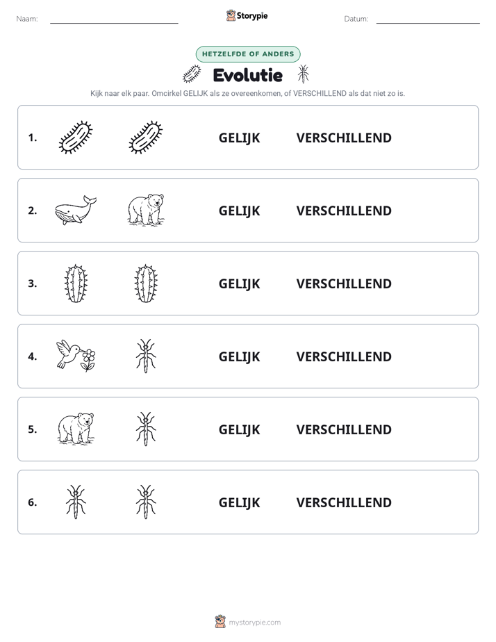 Zelfde of Verschillend