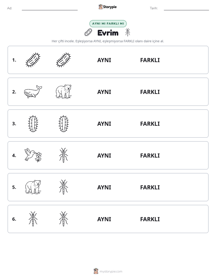 Aynı mı Farklı mı
