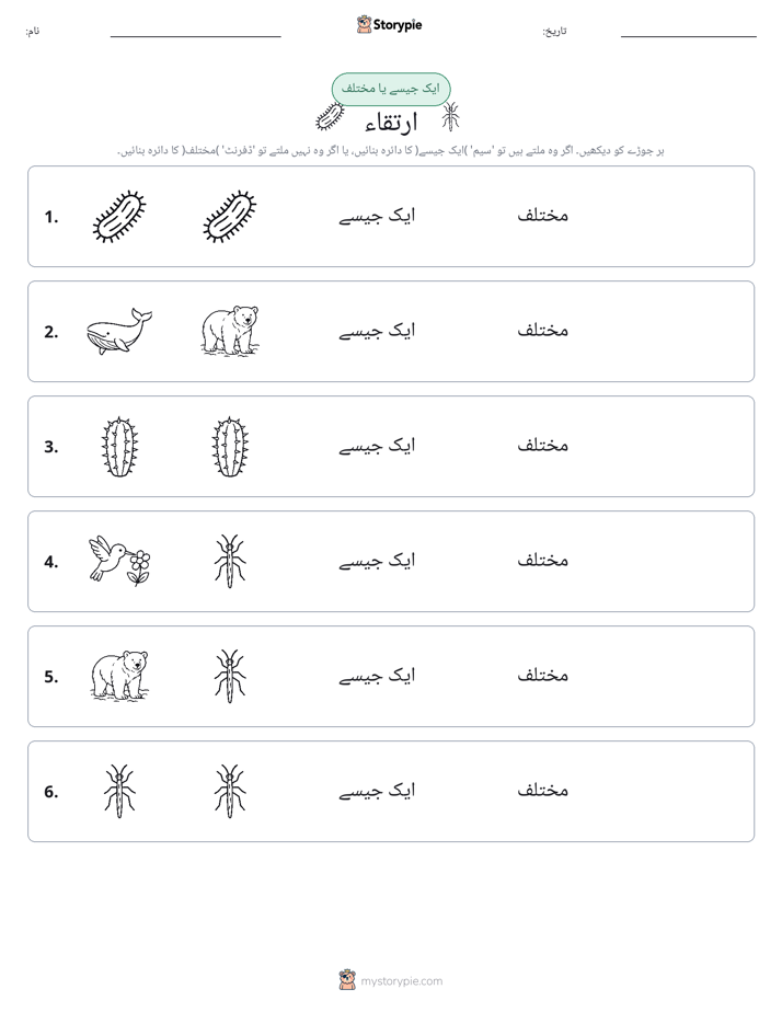ایک جیسا یا مختلف