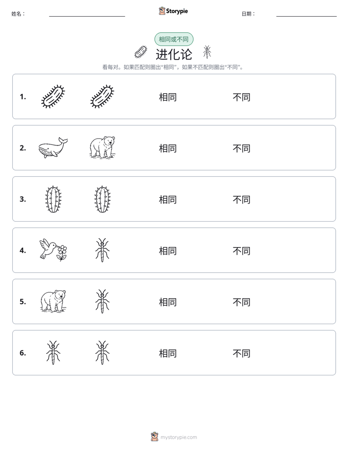 相同或不同