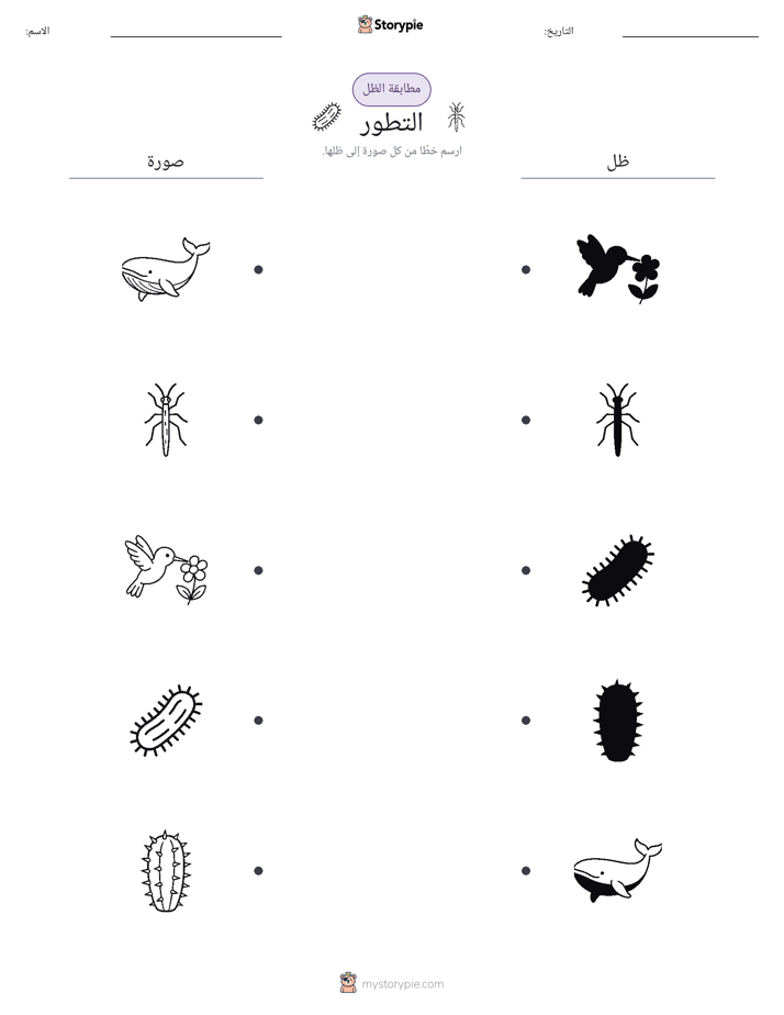 مطابقة الظل