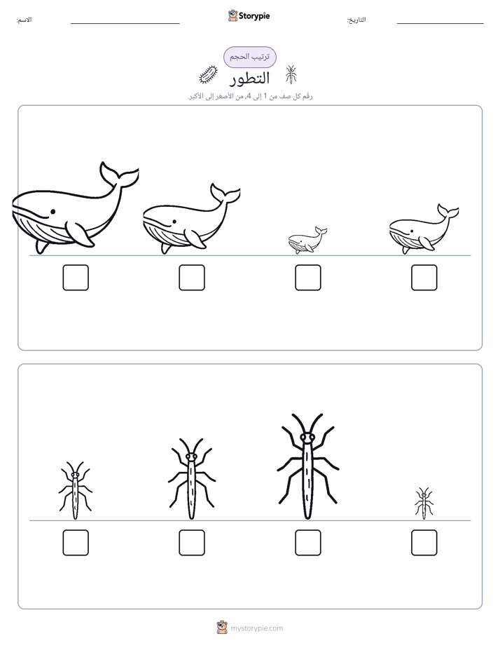 ترتيب الحجم