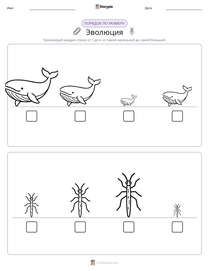 Размеры в порядке