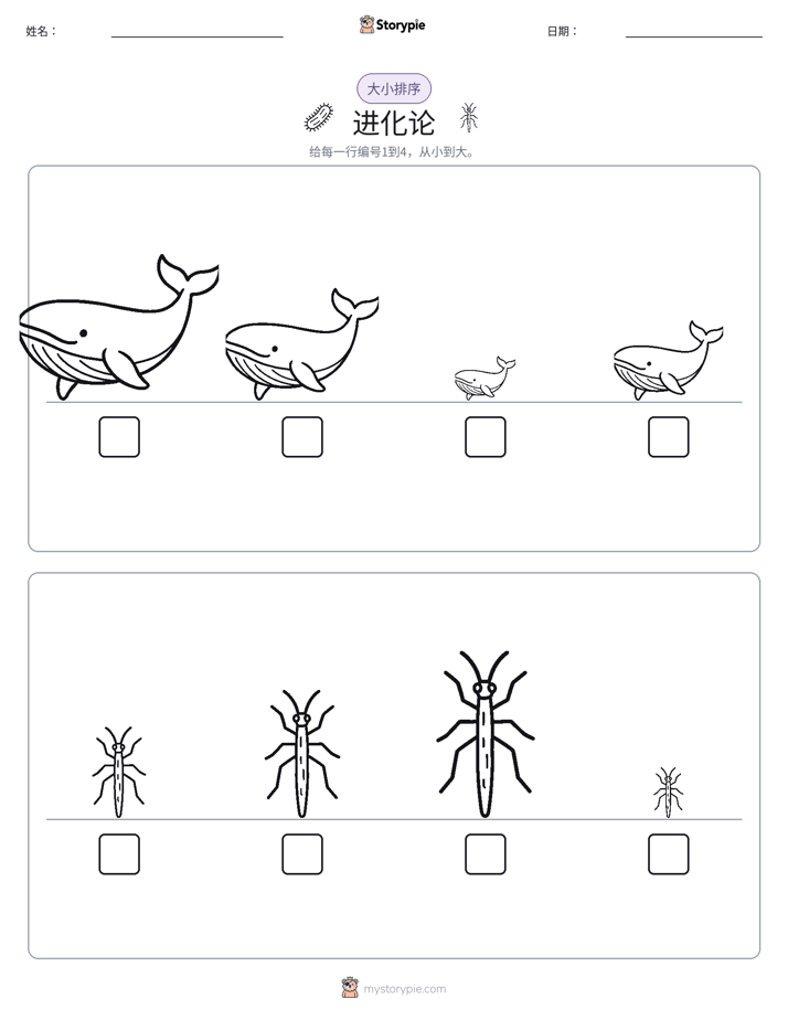 大小排序