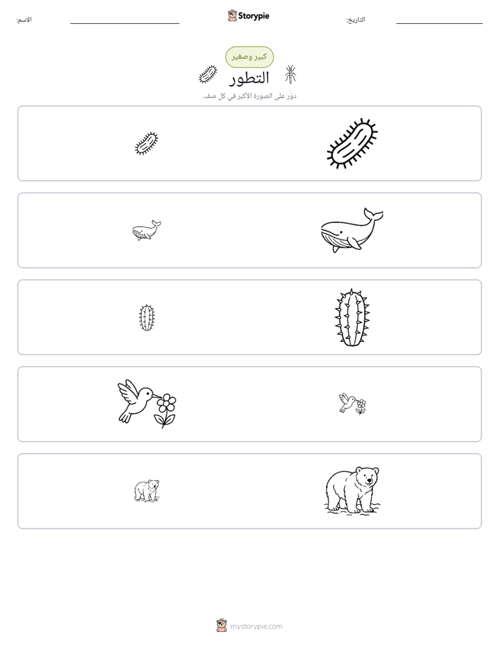 فرز