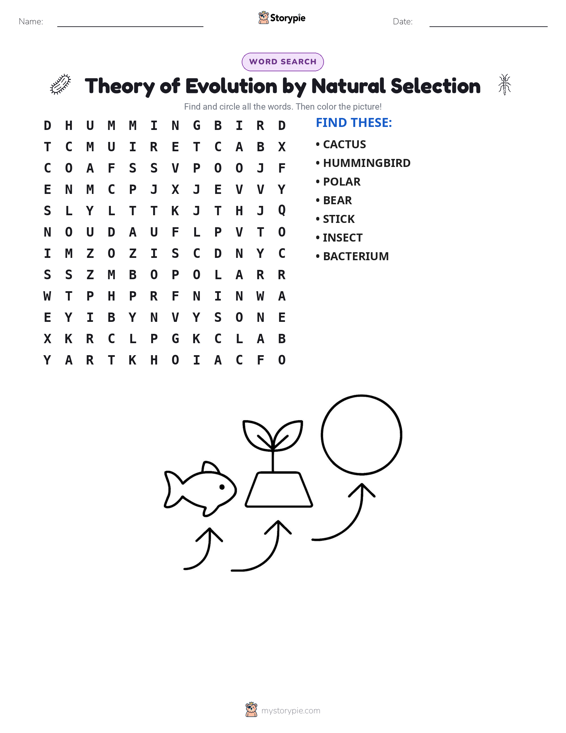 Word Search