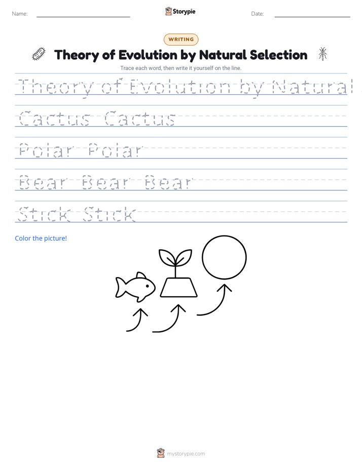 Writing Practice