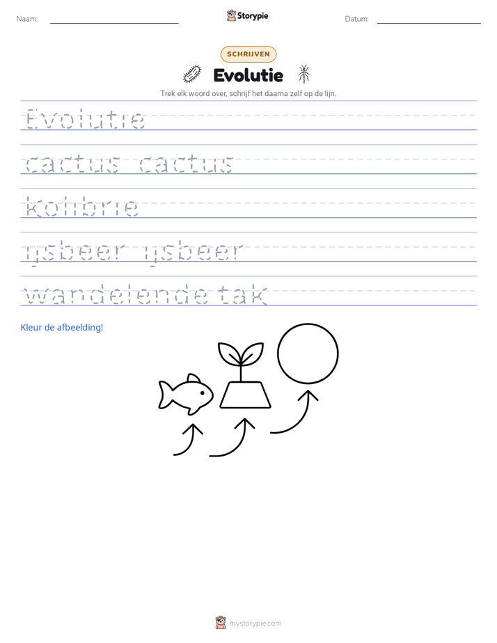Schrijf Oefening