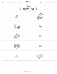 雷切尔·卡森 可打印工作表预览