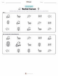 Rachel Carson druckbare Arbeitsblatt Vorschau
